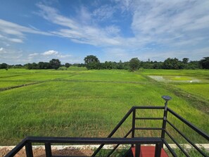 Standard Double Room, Garden View | Desk, laptop workspace, free WiFi