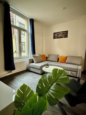 Living area - Gare du Midi for 3-4 people (Brussels)