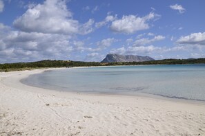 Playa en los alrededores 
