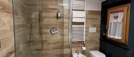 Shower, hair dryer, bidet, towels