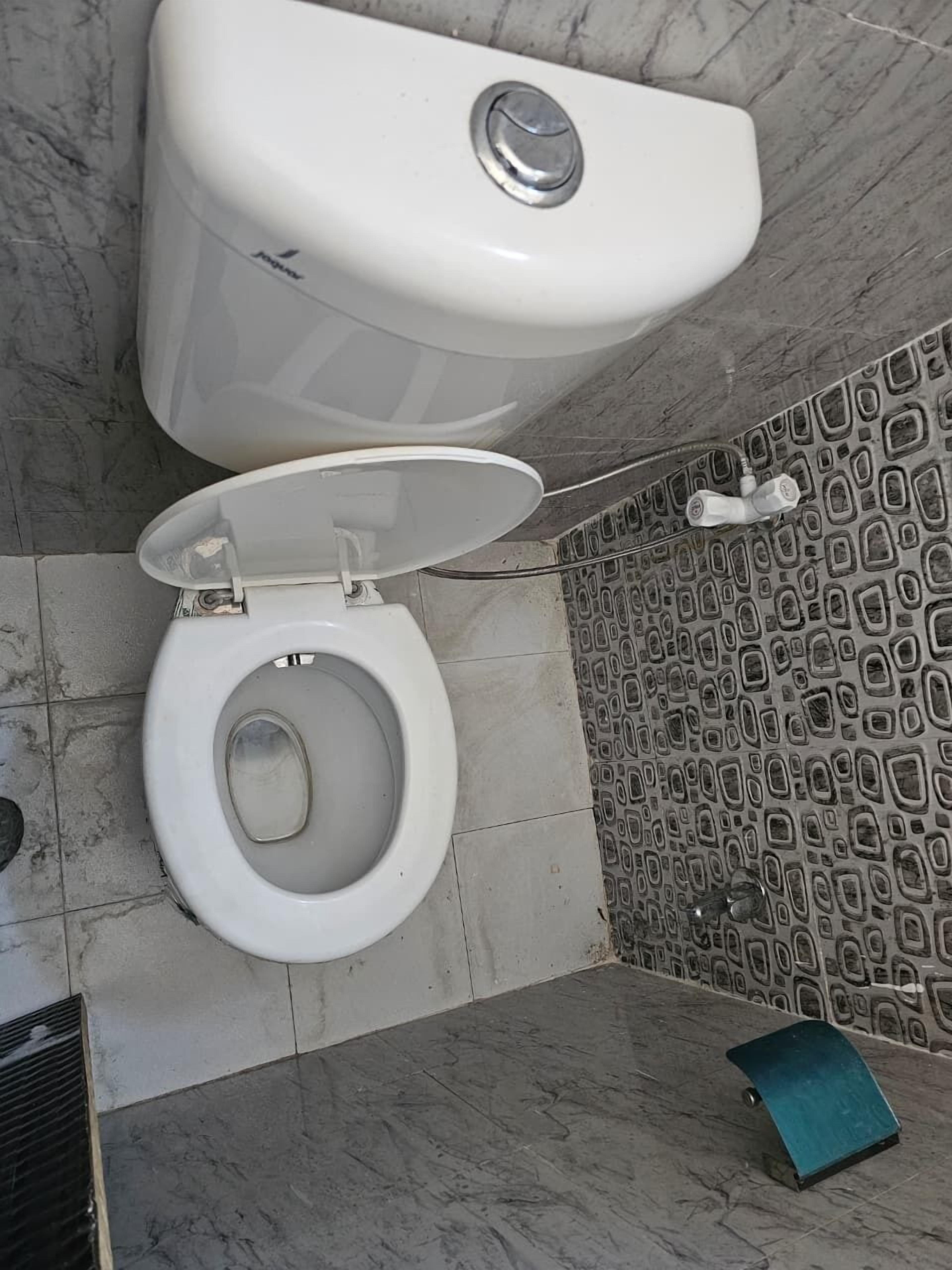 Des toilettes avec un abattant, un porte-rouleau de papier toilette et un carrelage décoratif.