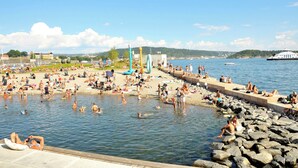 Beach - SEAFRONT LUXURY IN OSLO! (Oslo)