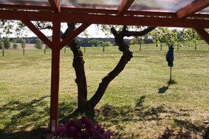 Property grounds - To the horse paddock (Zislow)