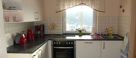 Fridge, oven, stovetop, dishwasher