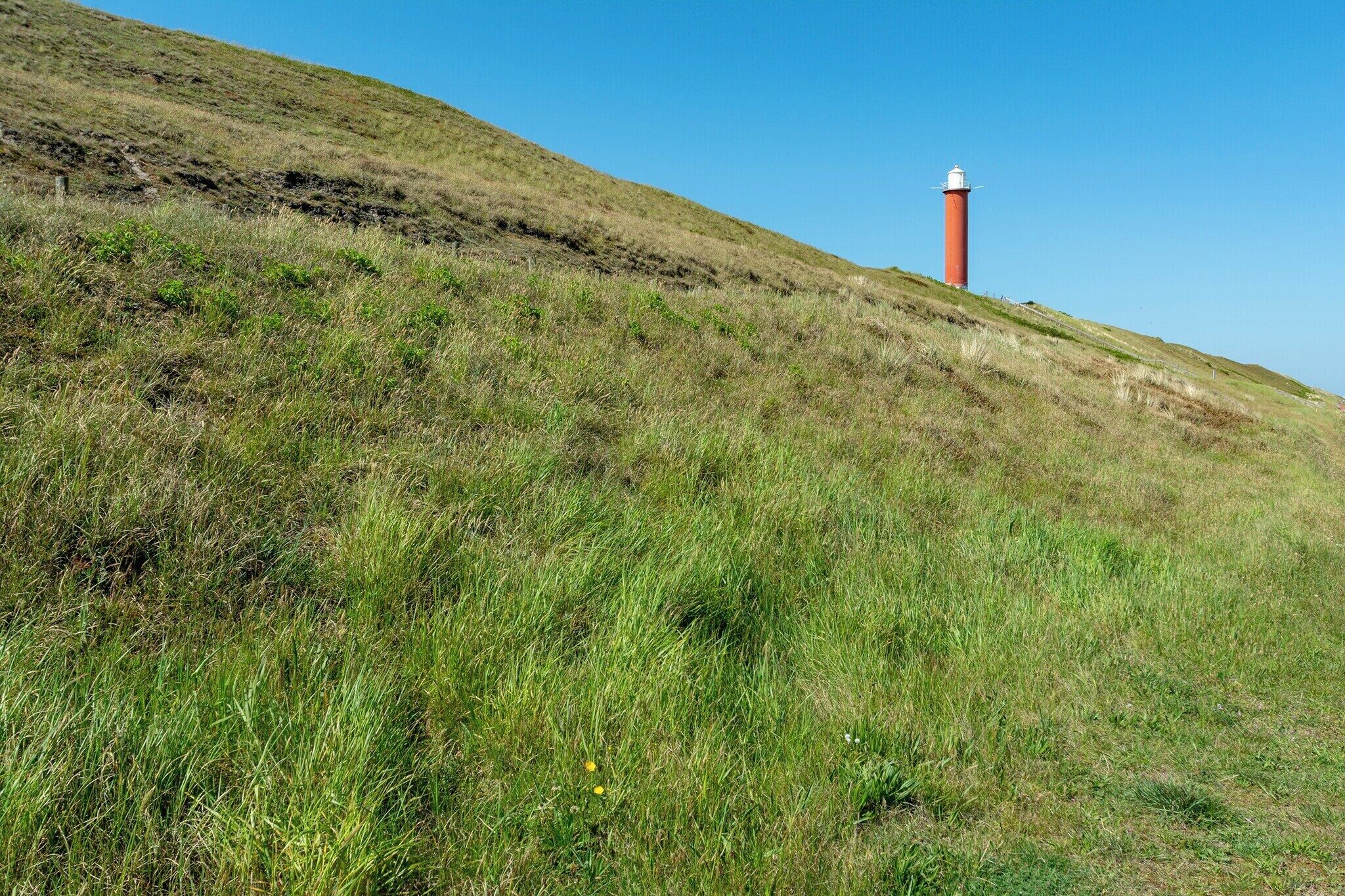 A lighthouse on a grassy hill with a clear blue sky.