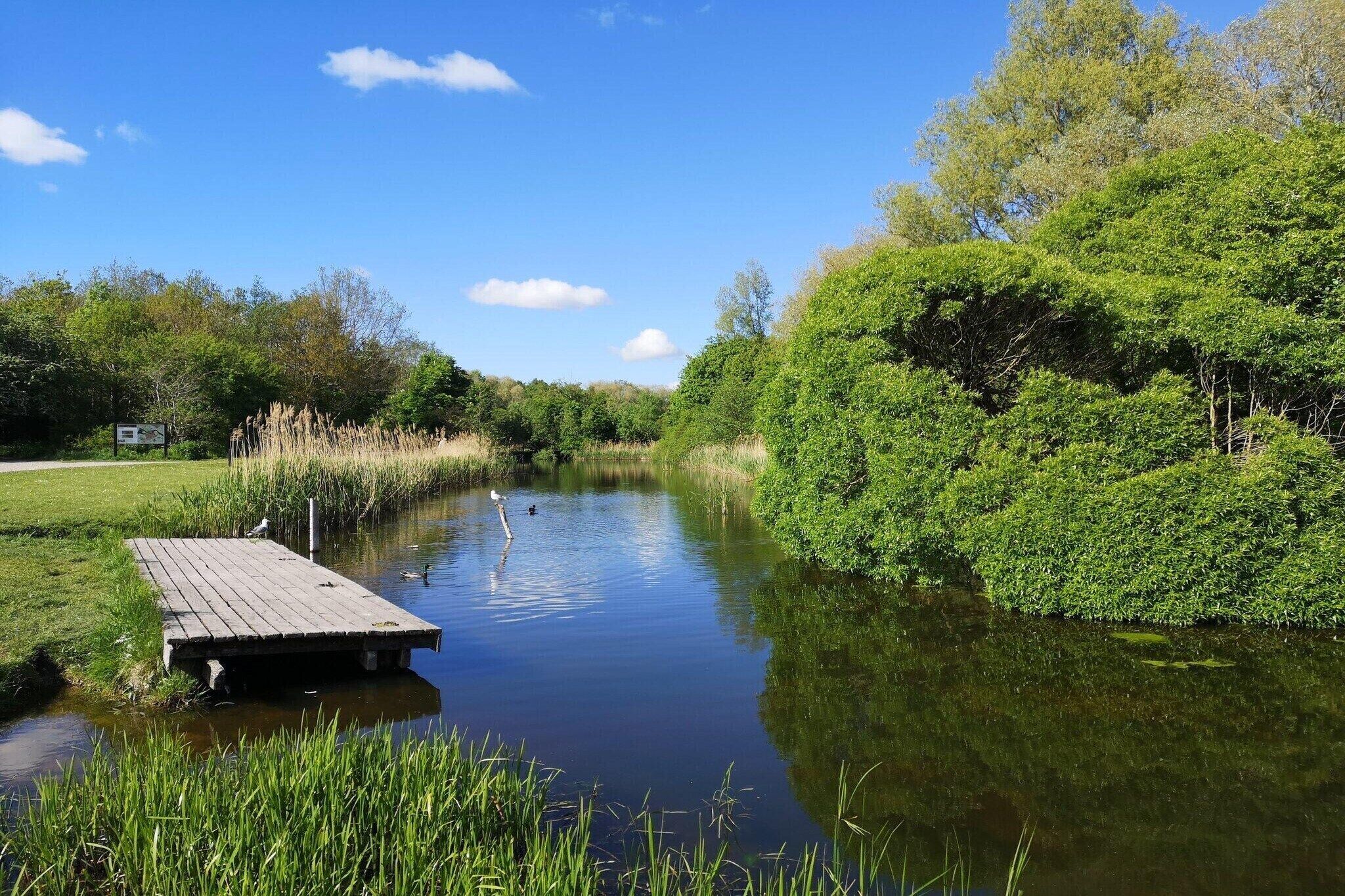 Un fiume tranquillo con un molo di legno, circondato da vegetazione rigogliosa e alberi.