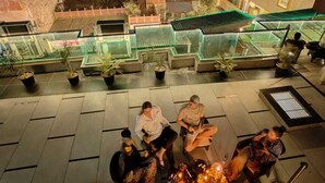 Terrasse/patio