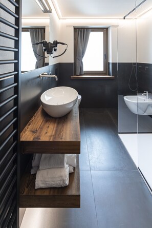 Regadera, tina de hidromasaje, secadora de cabello, bidet 