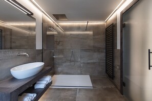 Shower, jetted tub, hair dryer, bidet