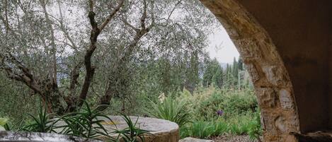 Terrain de lâhĂ©bergement