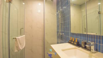 Hair dryer, bidet, towels, soap