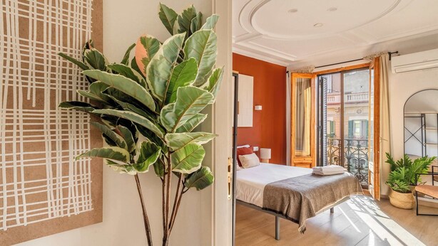 A modern hotel room with a bed, a large potted plant, a wooden floor, and a view of the city through the window. - Paseo de Gracia 5BD and 3BTH for 10 with Terrace (Barcelona)
