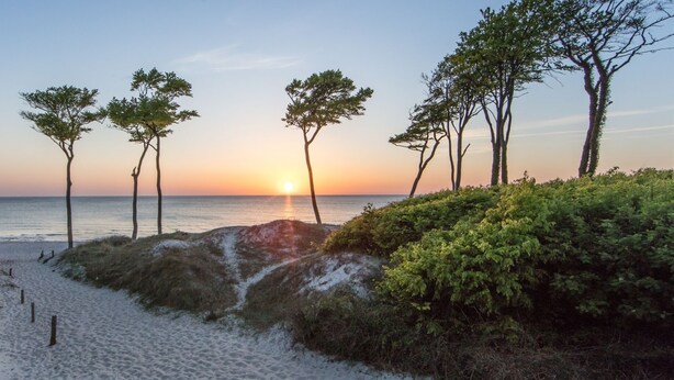 Ein Strand mit Sonnenuntergang, Bäumen und einem Sandweg.