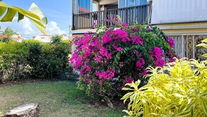 Un edificio de dos pisos con balcón y jardín, con buganvillas rosadas y plantas amarillas.