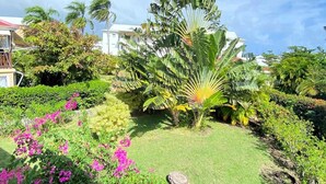Un jardín bien cuidado con diversas plantas y flores, una palmera y un cielo azul despejado.