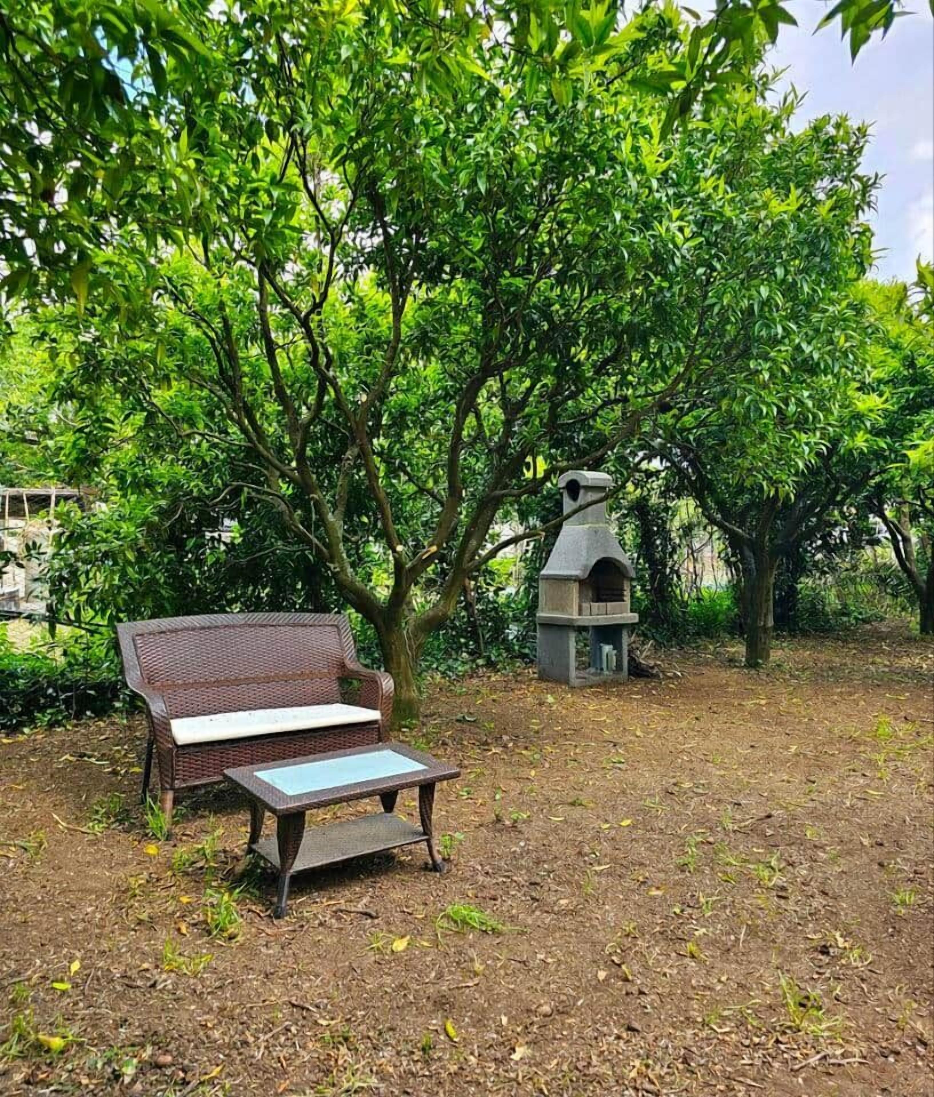 Un banco y un comedero para pájaros en un jardín con árboles.