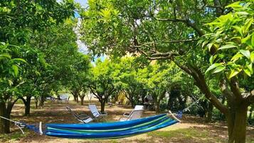 Una hamaca en una zona sombreada con árboles, rodeada por un campo de hierba.