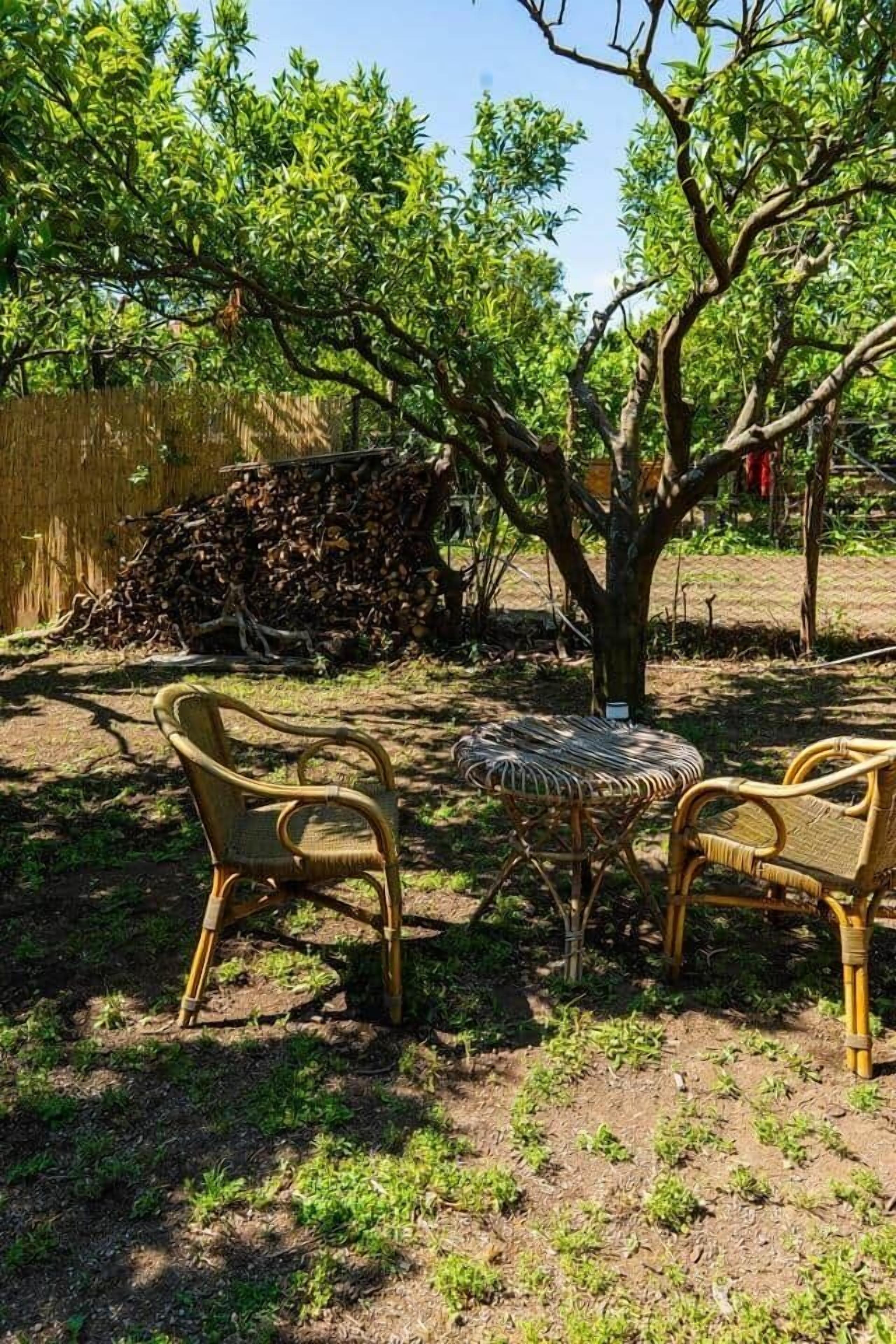 An outdoor seating area with wicker chairs and a small round table, surrounded by a tree and a pile of firewood.