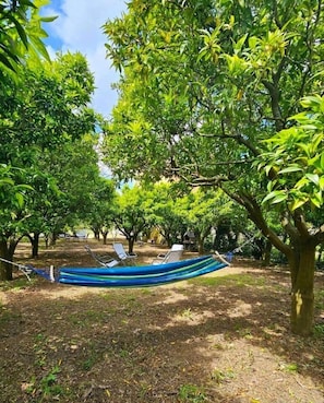 Property grounds - Villa Desiderio – Il Mosaico | Elegant apartment near Pompei (Angri)