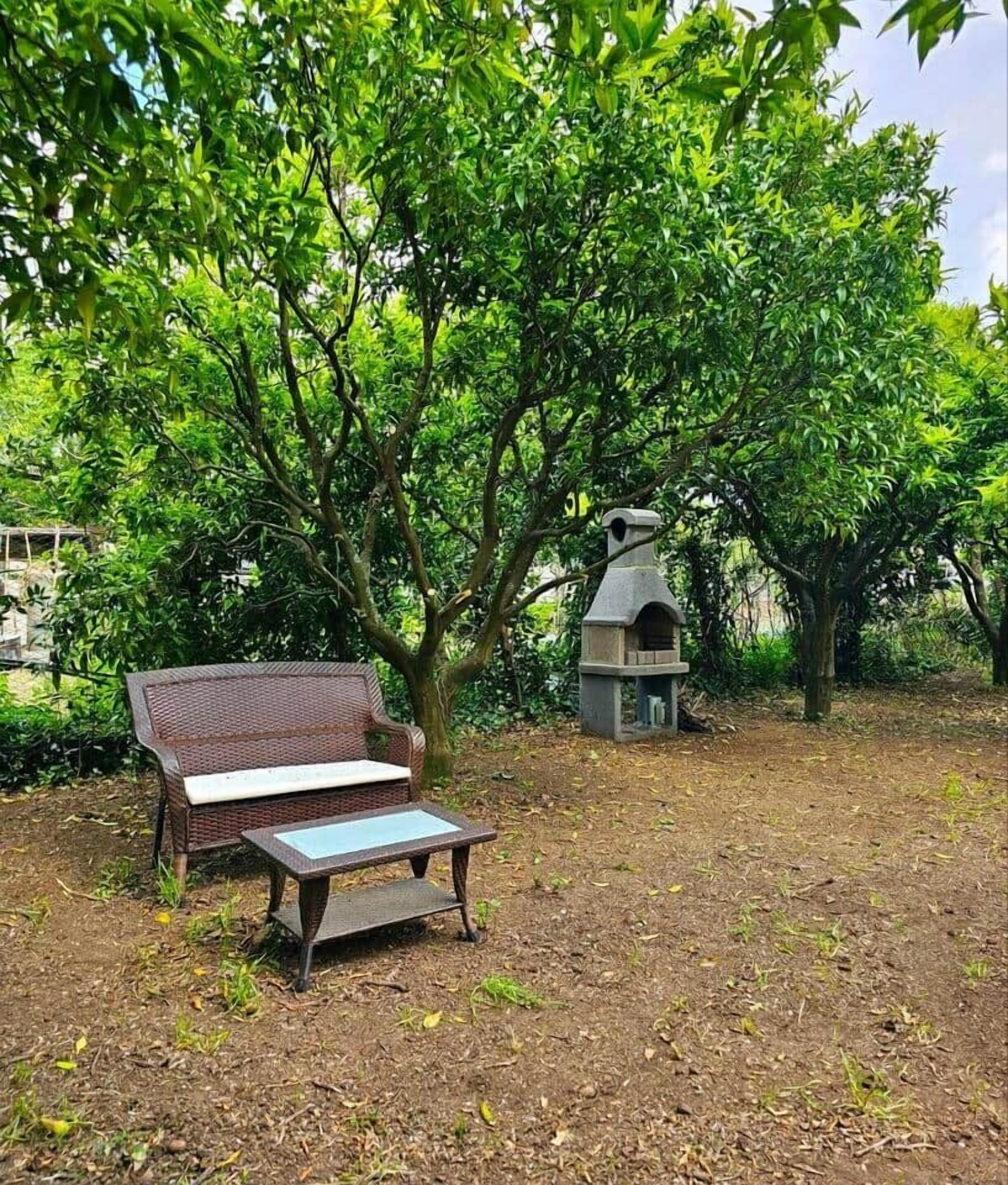 Parco della struttura