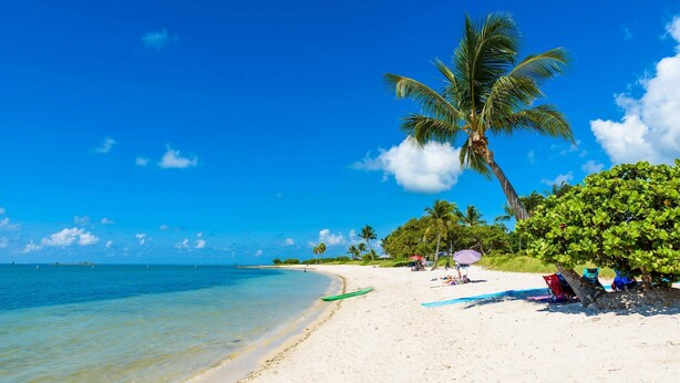 Una playa con agua turquesa cristalina, arena blanca y palmeras.