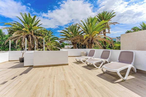 Palm-Fringed Rooftop Terrace with Sun Loungers – Your Private Open-Air Solarium for Sunbathing and Relaxing