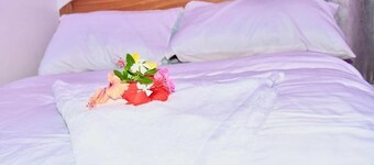 Michamvi Holiday Homes