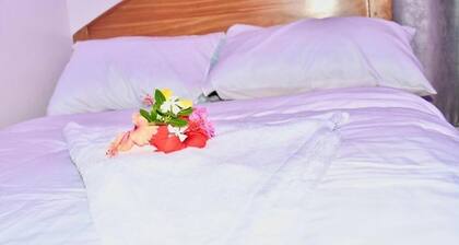 Michamvi Holiday Homes