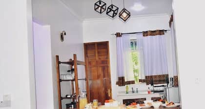 Michamvi Holiday Homes