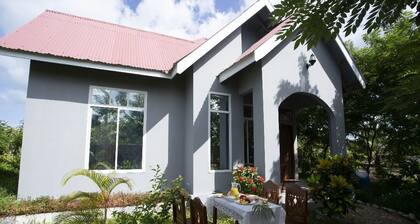 Michamvi Holiday Homes