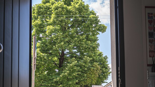 Une porte ouverte donnant sur une rue bordée d’un mur de briques et d’un grand arbre.