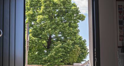 Treviso House: NEW Historic Center with Separate Entrance, Comfort and Privacy