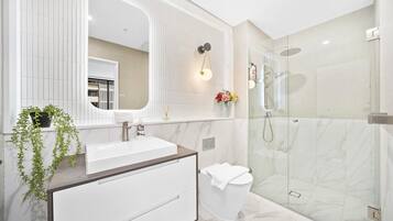 Hair dryer, towels, soap, toilet paper