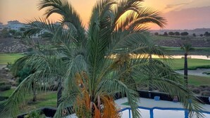 Uma palmeira em primeiro plano, com uma piscina e vista para um campo de golfe e edifícios ao fundo.