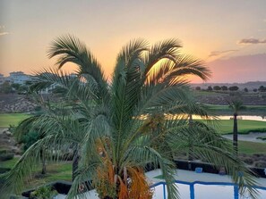 Eine Palme im Vordergrund, mit einem Pool und Blick auf einen Golfplatz sowie Gebäude im Hintergrund.