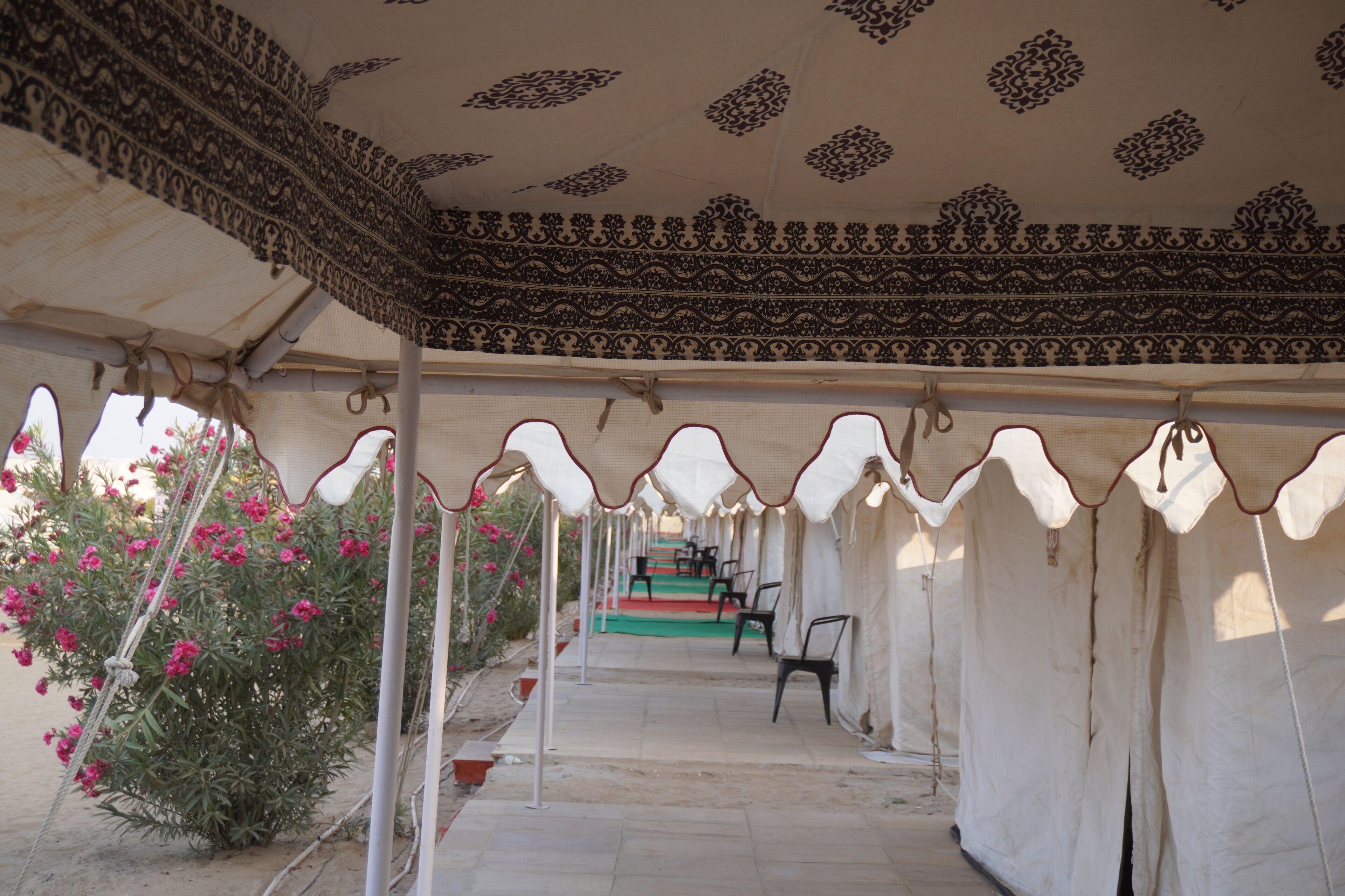 Luxury Tent, Desert View | Free WiFi