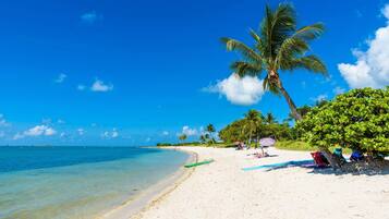 Sun loungers, beach towels