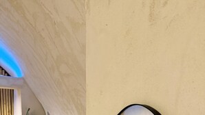 Un área de spa con pared de piedra, planta en maceta y una pequeña piscina.
