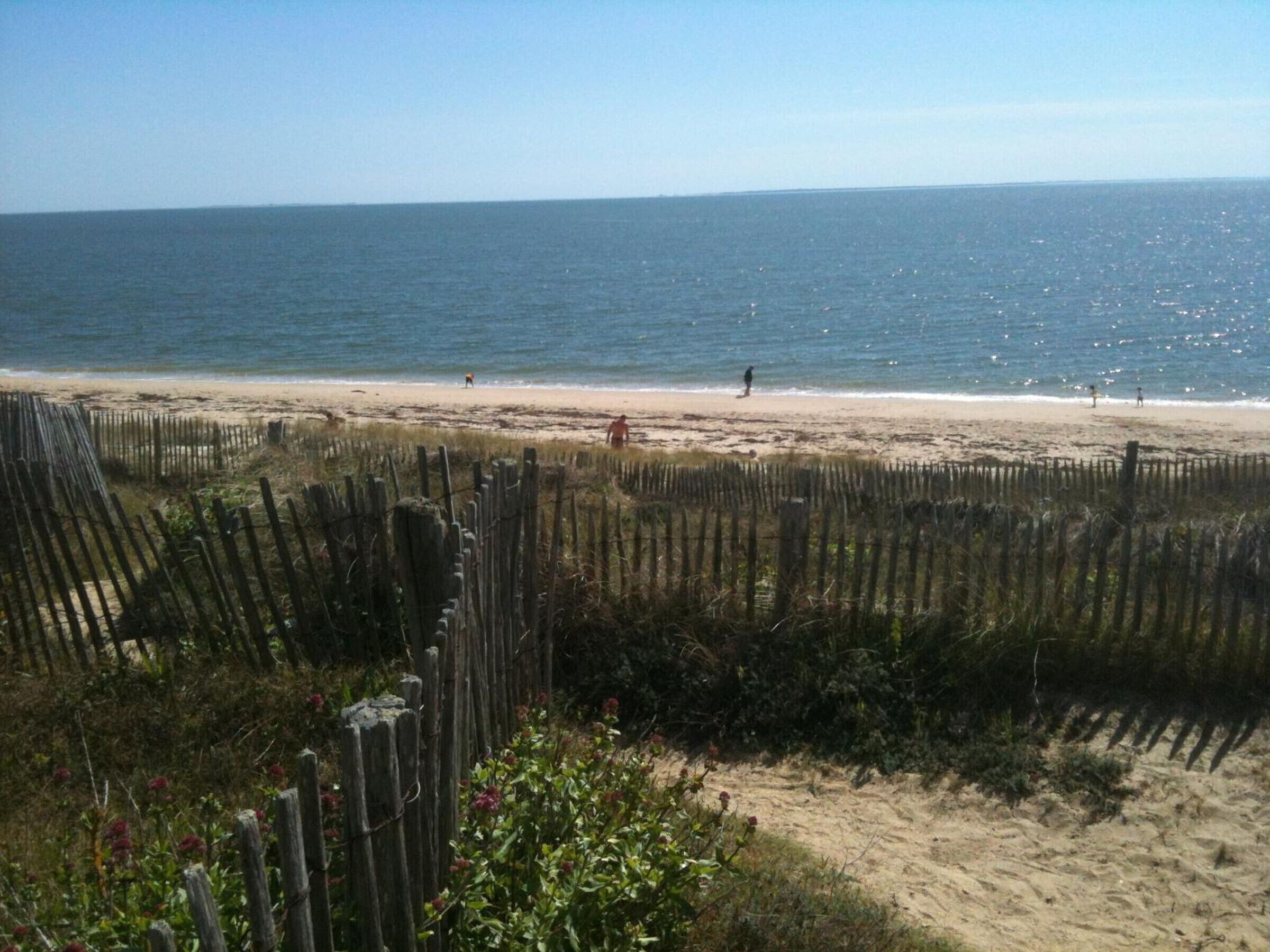 بالقرب من الشاطئ