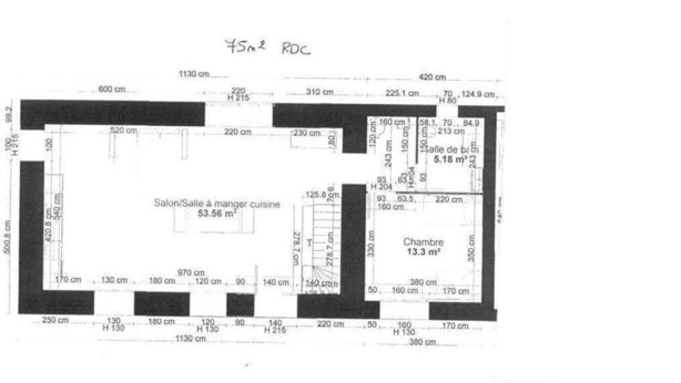 Grundriss einer 45m² großen Wohnung mit einem Essbereich (Salle à manger cuisine) von 53,56 m² und einem Wohnzimmer (Chambre) von 13,3 m².