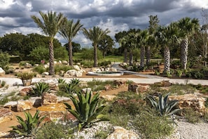A landscaped garden with palm trees, rocks, and cacti.
