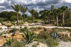 A landscaped garden with palm trees, rocks, and cacti.