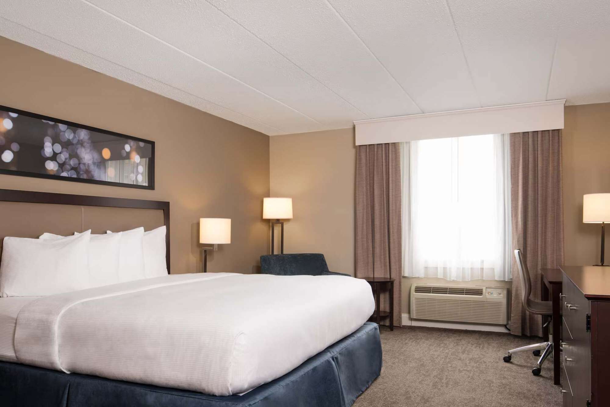 1 多间卧室、办公桌、熨斗/熨衣板、WiFi