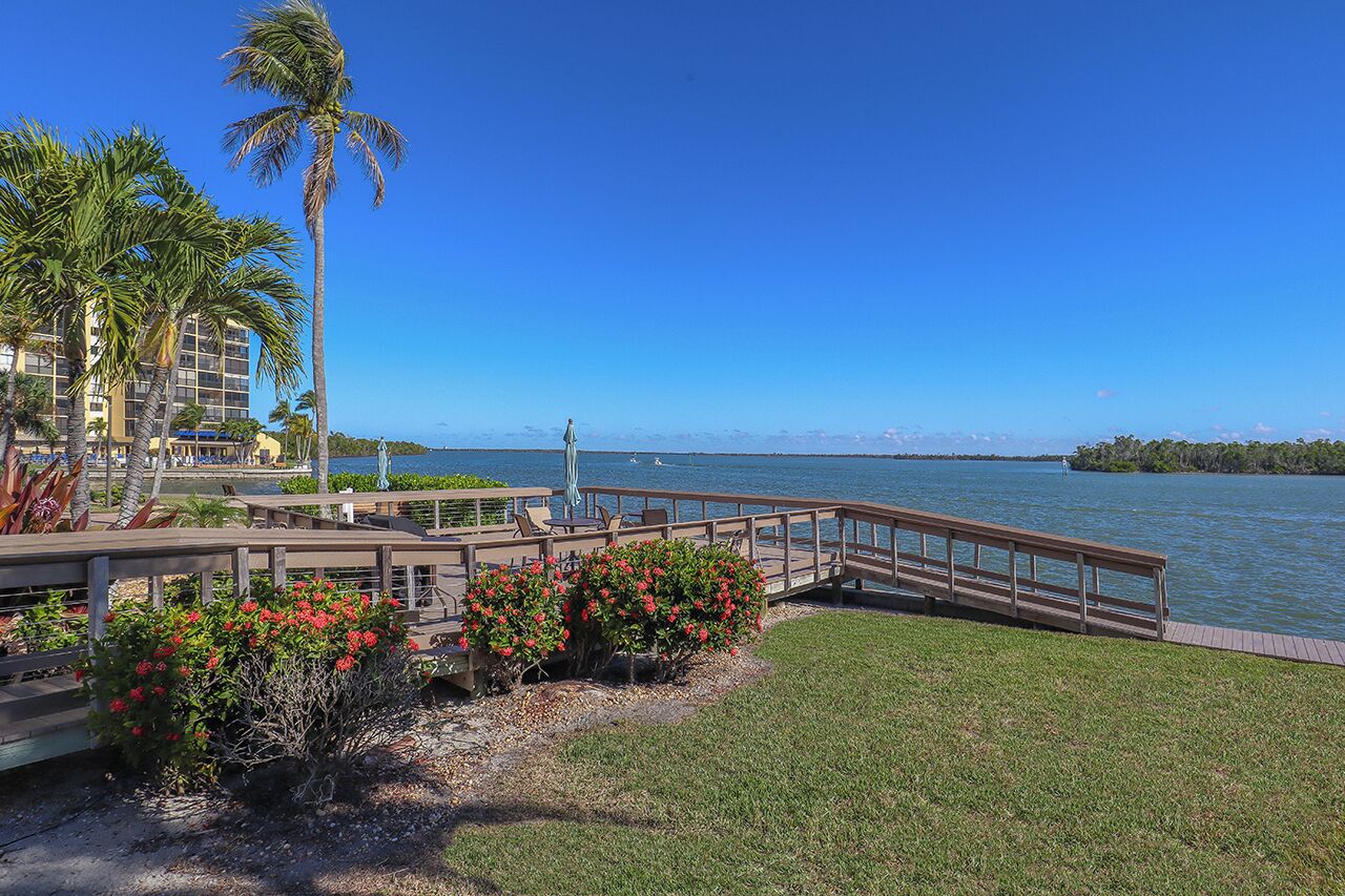 A waterfront view with a wooden deck, palm trees, and a building in the background.