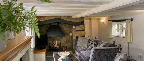 TV, fireplace, video games, table tennis