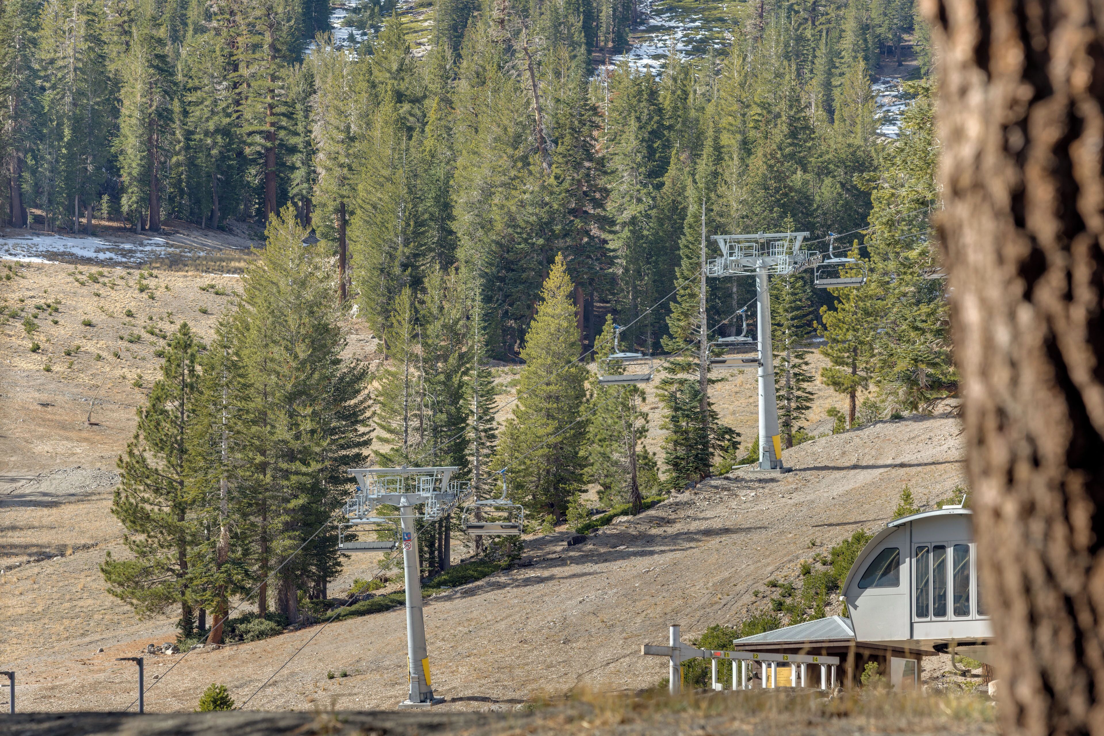 A ski resort with a chairlift, trees, and a building.