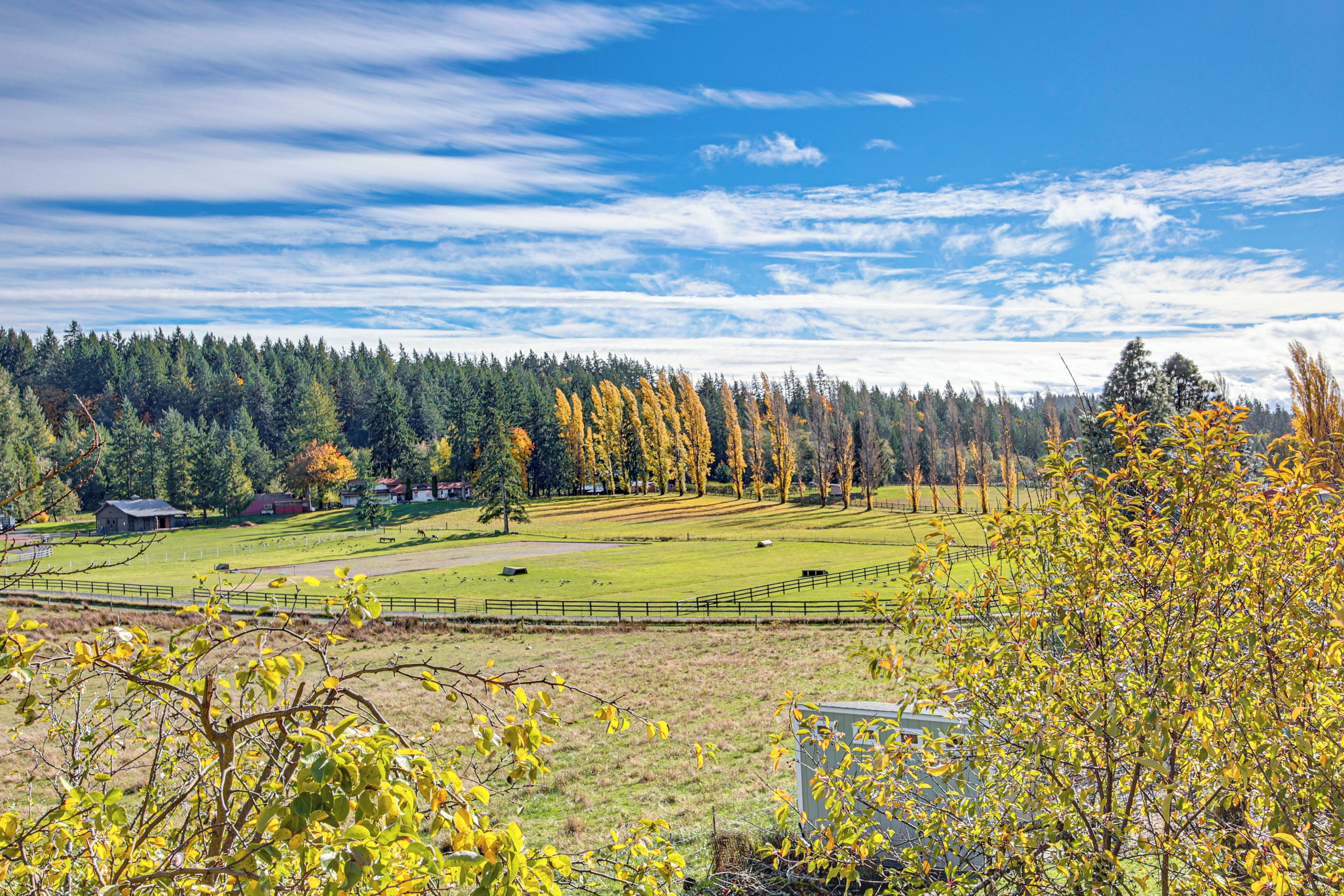 Un paisaje rural con un campo cercado, una hilera de árboles con follaje otoñal y un cielo azul despejado.