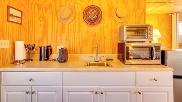 A kitchen with wooden walls, a sink, a microwave, and a coffee maker. - Hike, Ski & Golf: Water-view Lake Winola Retreat! (Lake Winola)