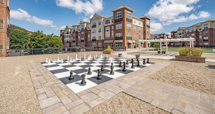 Landing Apartments New Haven