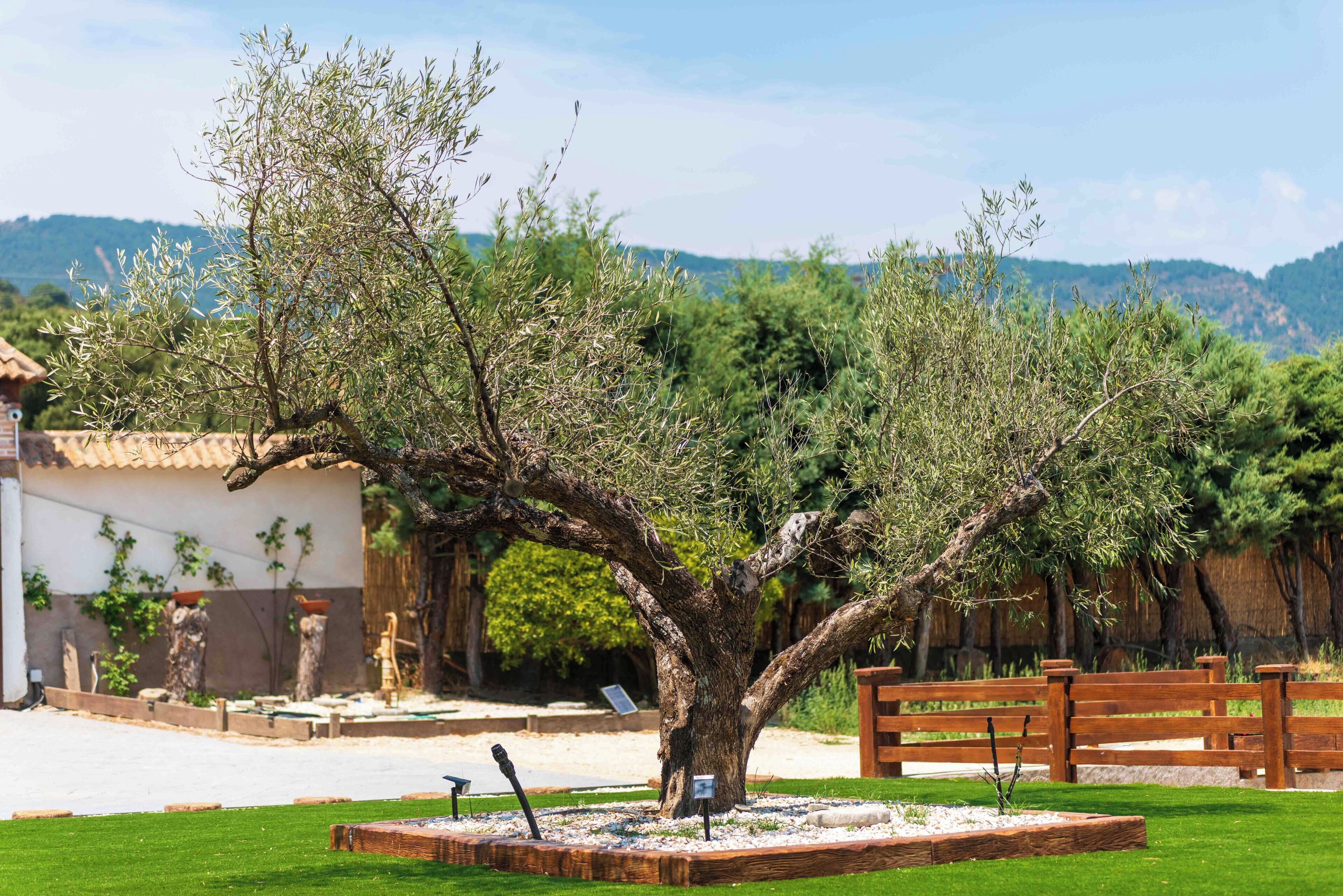 Vue depuis l’hébergement